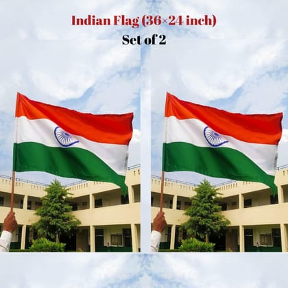IVillage Indian Flag Set of 2