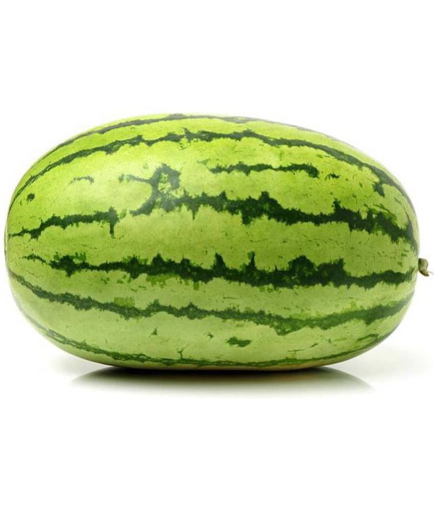 Watermelon Seeds, Water Melon Striped Oval Tarbooz Pack Of 20 Seeds