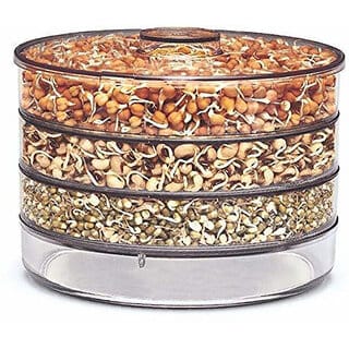 Plastic Sprout Maker - 1000 ml(Clear)