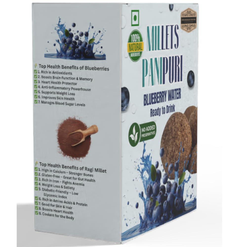 Pani Puri Water Blueberry 200ml Pack of 2 (200ml+200ml) | NON-PRESERVATIVE