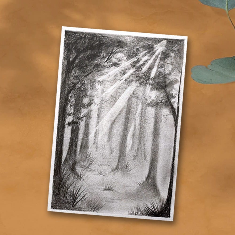 Pencil Shading on  A4 Paper  Diy Kit by Penkraft