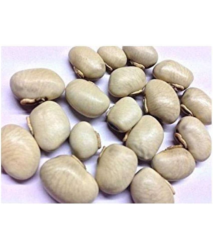 Nutrixia Food Kauch Beej/कौच बीज/Konch/Mucuna pruriens/Kaunch Seeds  100 gm