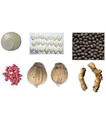 LAXMI PUJA  COMBO OF KAMAL GATTA, GOMATI CHAKRA, RAKT GUNJA, LAXMI KAWDI-11 PCS & KALI HALDI, LAXMI NARIYAL - 2 PCS - VINARGHYA Pharmaceuticals