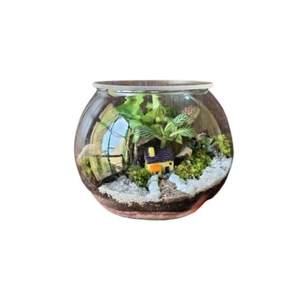 Succulent Terrarium Made with Cute Little Succulents and Miniatures