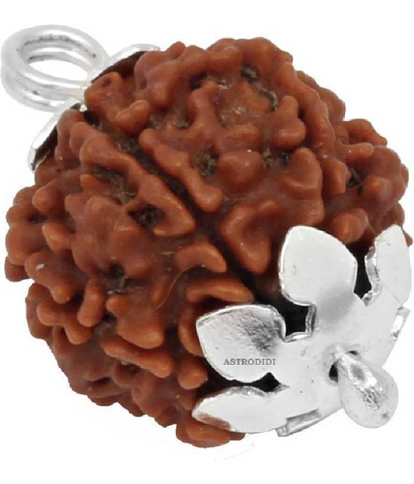 Astrodidi 4 Mukhi Rudraksha Four Face Rudraksha With Lab Certificate