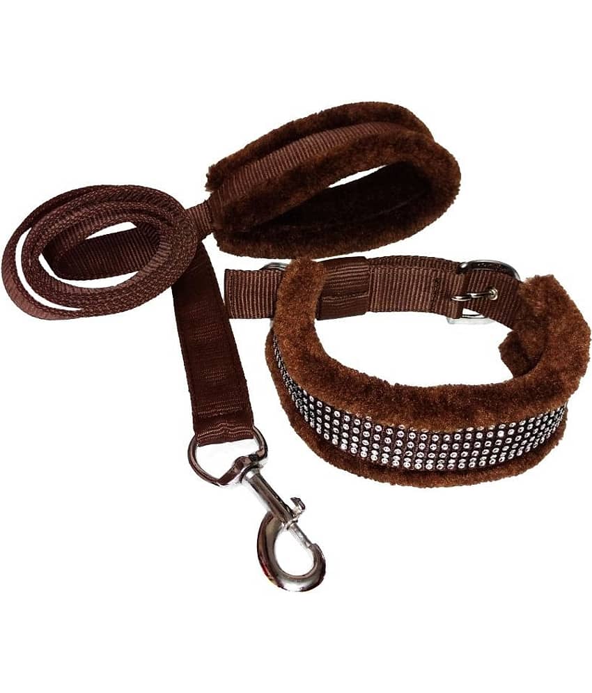Petshop7 - Brown Dog Combo (Large)
