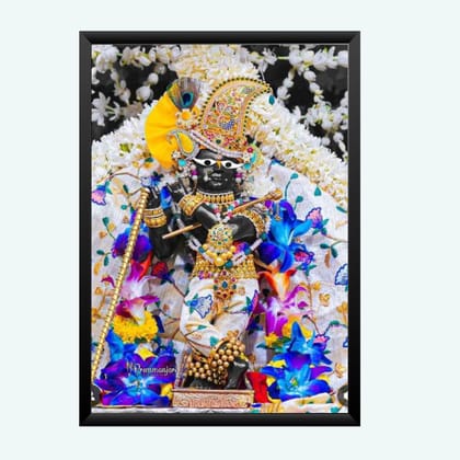 NOKKES Radha Raman ji Vrindavan Radha Raman Thakur Ji Photo Frames Religious Photo frame 5X7 Inch Photo Frame_QWW84