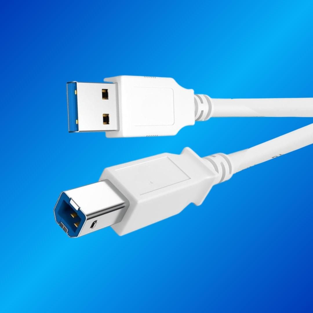 Champion USB A Male to B Male Printer Scanner Cable,Compatible with Canon, Brother, Dell, Epson, HP, Samsung, Lexmark, and Panasonic Printers and Scanners