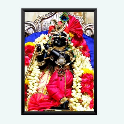 NOKKES Radha Raman ji Vrindavan Radha Raman Thakur Ji Photo Frames Religious Photo frame 5X7 Inch Photo Frame_QWW89