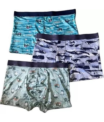 CAVENDRES Pack of 3 Nylon Trunks For Men's ( Multicolor )
