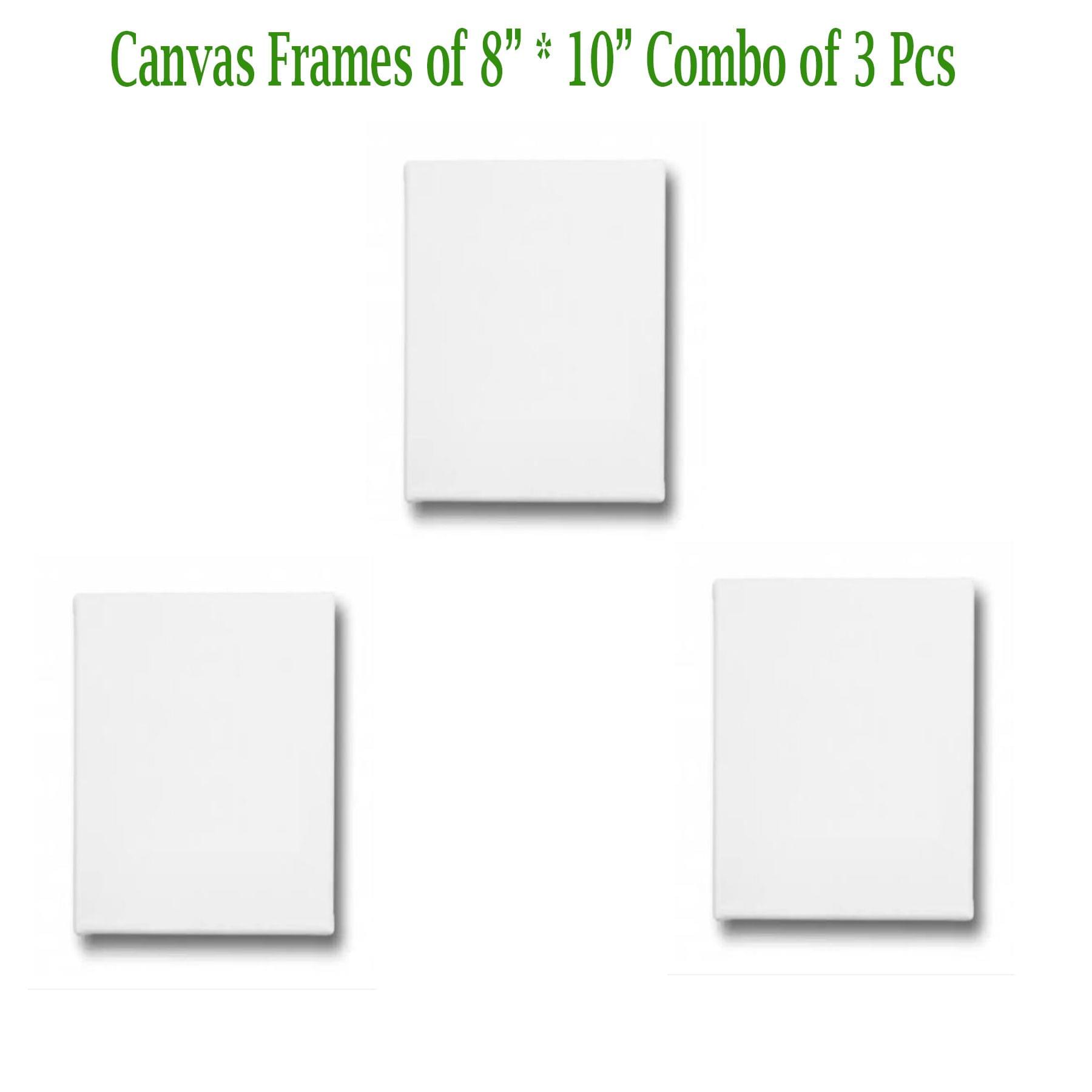 Canvas Frame 8" *10" Combo of 3 Pieces