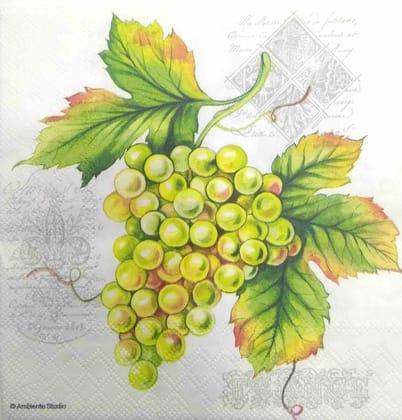 Decoupage Napkin / Tissue papers - GT2154