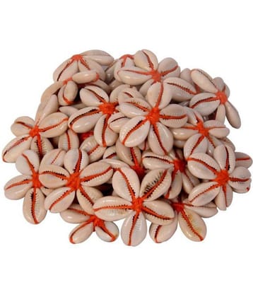 Vardhman - Other Sea Shells Kowrie Hand Made Flowers (Pack of 1)