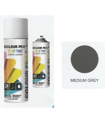 Colour Pro+ Spray Paint 300 - 700 ML