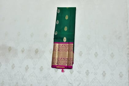 Treditional indian sarees