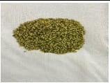 SPLIT GREEN GRAM/ MOONG DAL CHILKA/ HARI MOONG CHILKA