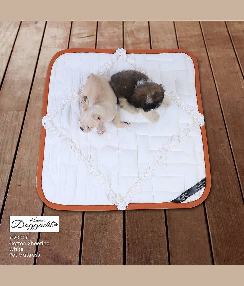 Cotton Quilted Rectangle Cat Dog Pet Bed Mattress | Foldable Padded Pet Mat | Light Weighted Mattress for Pet_IVORY