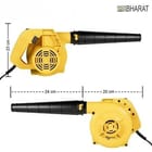... ...