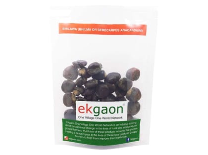 Ekgaon Bhilawa (Bhilama or Semecarpus Anacardium) (50g)