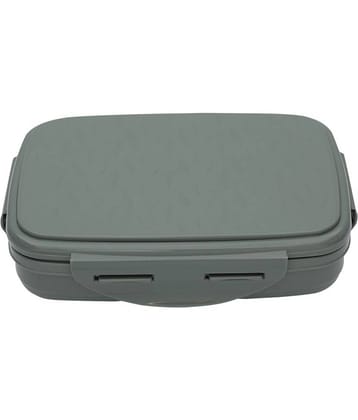 Jaypee - Green Stainless Steel Lunch Box ( Pack of 1 )