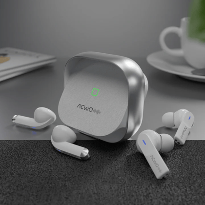 DwOTS Fire Earbuds