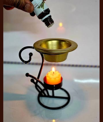 R.R.V. International Brass Aroma Oils & Diffusers Set - Pack of 1