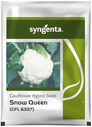 SNOW QUEEN