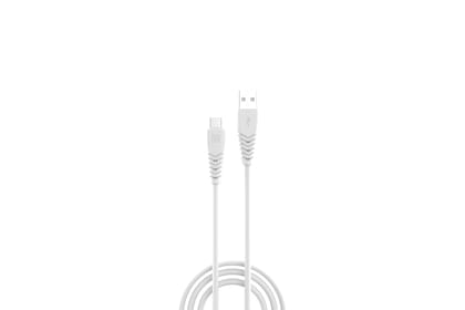 Portronics Konnect Core II Fast Charging 1 Mtr Type-C Cable (White)