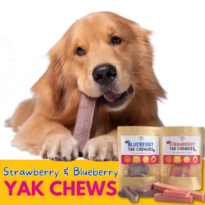 Yak Chews-Small / Blueberry