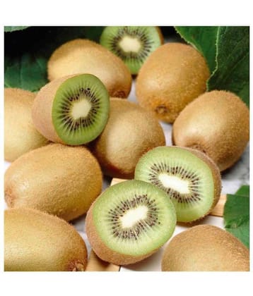 Royal Paradise Garden Kiwi Fruit Plant Seeds - Pack of 30