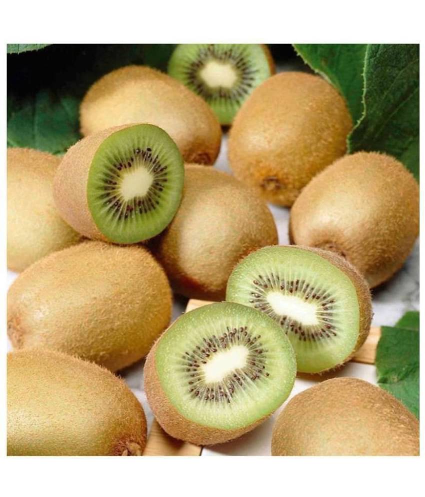 Royal Paradise Garden Kiwi Fruit Plant Seeds - Pack of 30