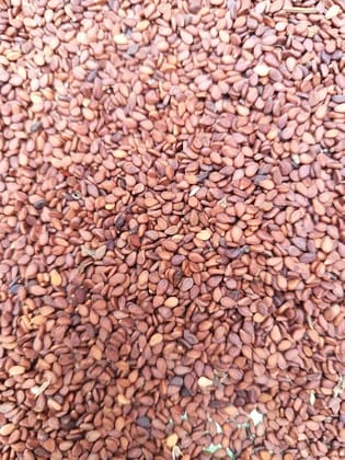 Sesame Seed - 1 kg