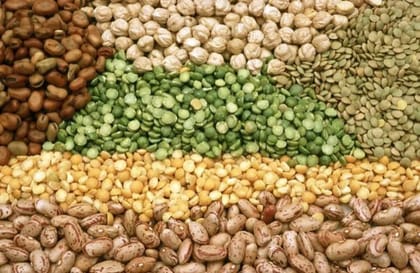 Assorted Mixed Pulses and Legumes - 100 kg - One bulk pack of mixed pulses