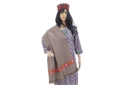 SARAS Aajeevika, Handwoven | Shawl | SHG Product | Himachal Pradesh | Winter & Outdoor |Warm & Stylish | Brown
