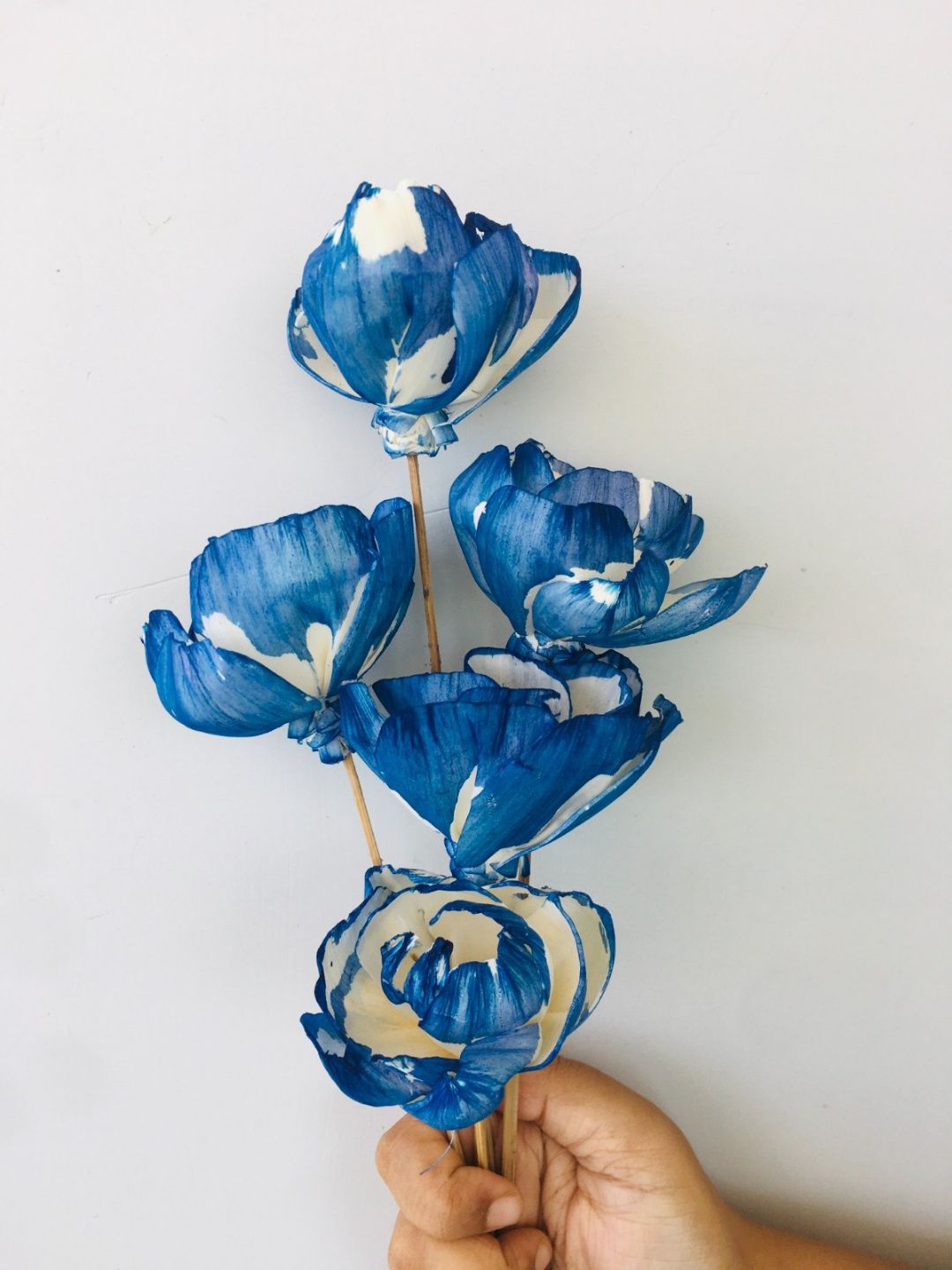 Indigo Peony Sola Flower (5pcs)