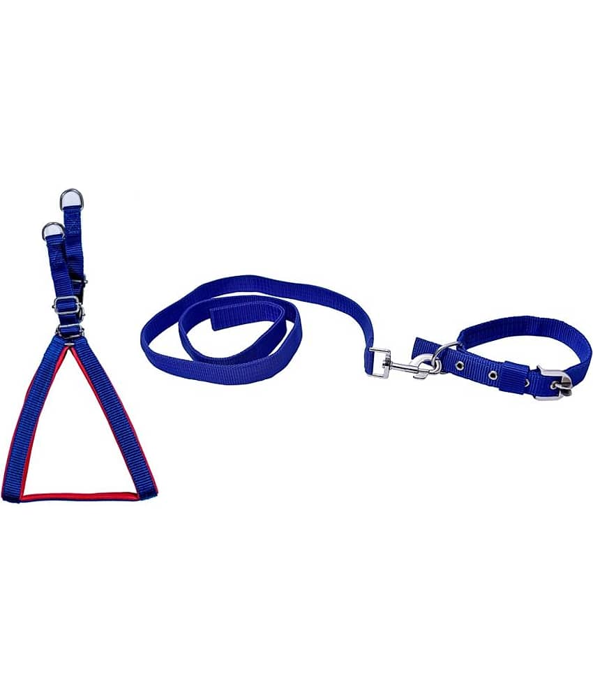 Tame Love Combo Dog Harness Leash Collar for small pet (Blue Color-0.75 Inch)