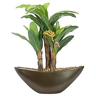 De Gardenia Artificial Banana Bonsai Plant in a Glass Vase for Home and Office Decor (27 cm Tall Green) with Black Ceramic Pot
