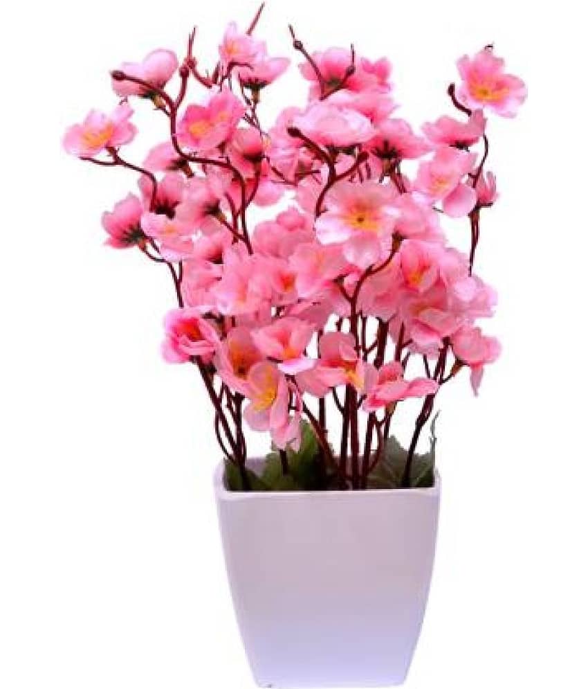 Green plant indoor Orchids Pink Flowers With Pot - Pack of 1