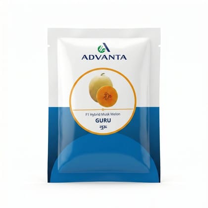 Advanta Guru F1 Hybrid Musk Melon Seeds - 50 gm - 50 gm - One pouch containing 50 grams of seeds