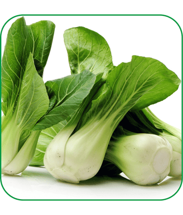 Aero Seeds Pak Choi Vegetable ( 100 Seeds )
