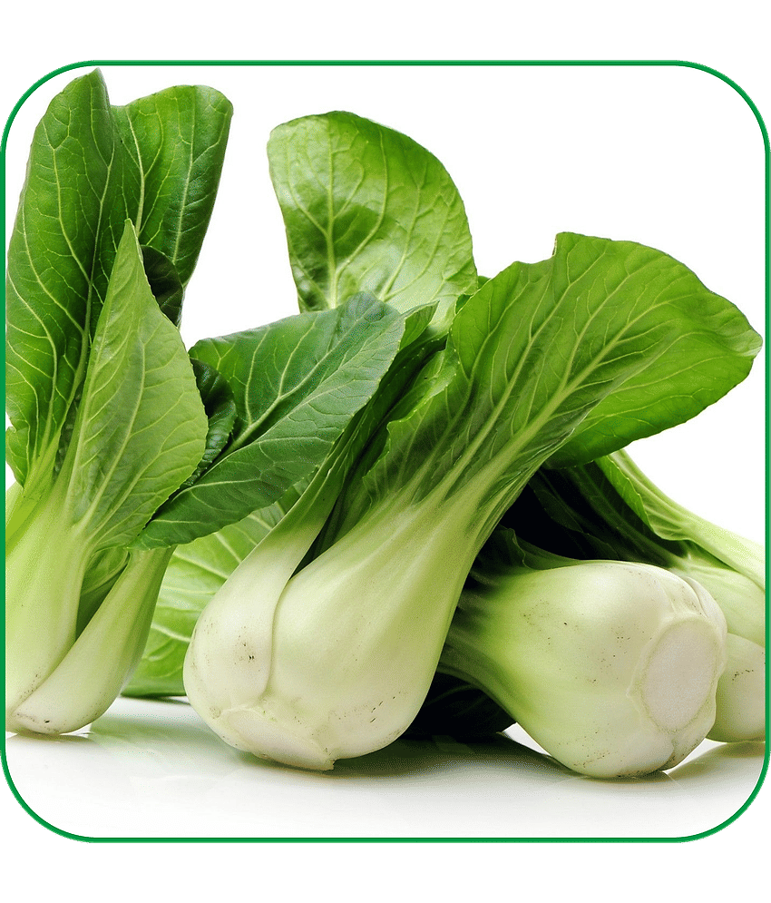 Aero Seeds Pak Choi Vegetable ( 100 Seeds )
