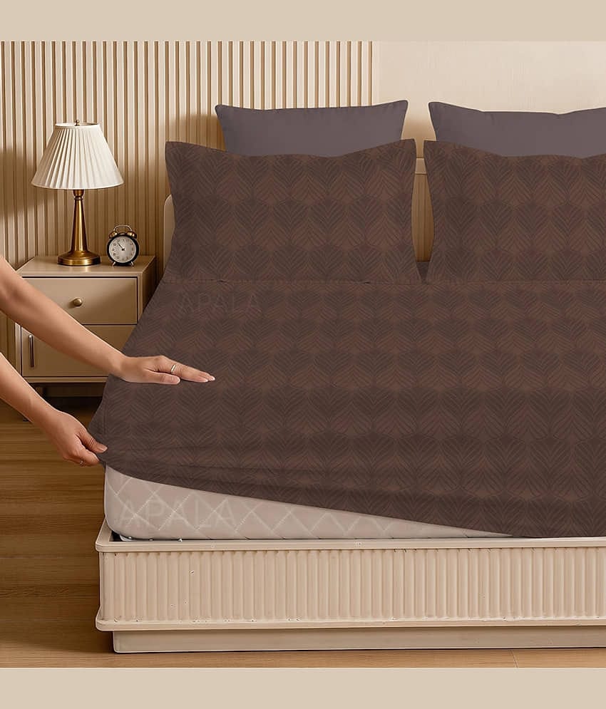 Apala Microfibre 1 King Fitted Bedsheet with 2 Pillow Covers ( 198 cm x 182 cm ) , Brown