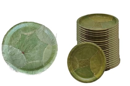 Biodegradable Leaf Plates 200 Pack