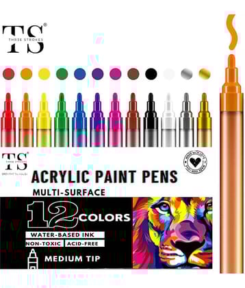 THR3E STROKES Acrylic Paint Marker Mixed color Medium Point Tip Art Markers Highly Pigmented Pens