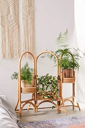 Dastkar Crafts Bamboo Cane Planter 3 in 1 Stand for Balcony Indoor and Outdoor