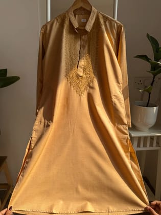 Cotton Chikankari Kurta - Beige  - Men's Collection-Beige / cotton / S