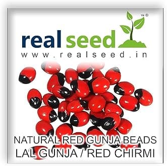 Real Seed Lal Rakt Gunja | Red Rosary Pea | Godddess Lakshmi Chirmi Beads | Abrus Precatorius | Gumchi - Set 51 Beads