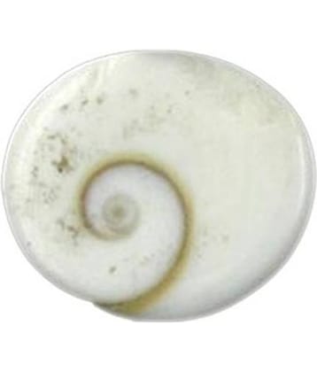 Shri Astha Vinayak Vastu Showpiece 2 cm - Pack of 1