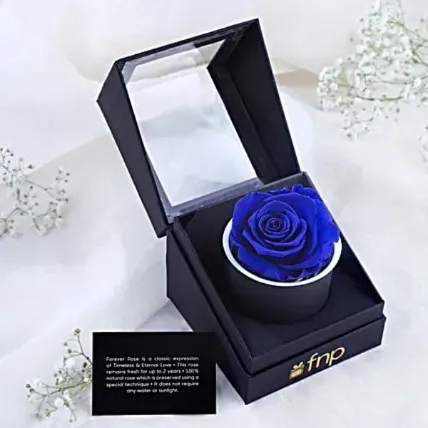 Forever Ocean Blue Rose