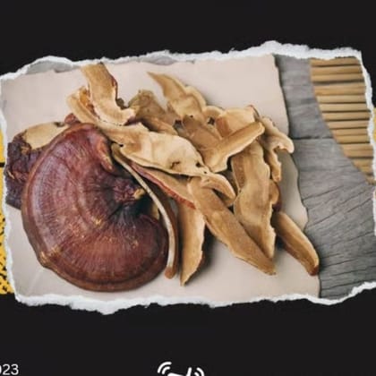 Dry Ganoderma Mushroom - 50 gm